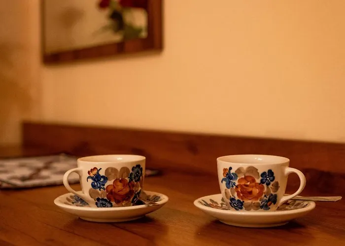 U Zwijaczy Bed and breakfast 3*